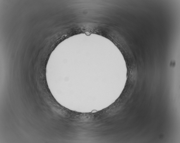 X0000115620865200912221226