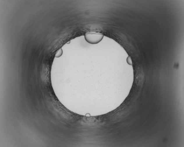 X0000115620866200912221226