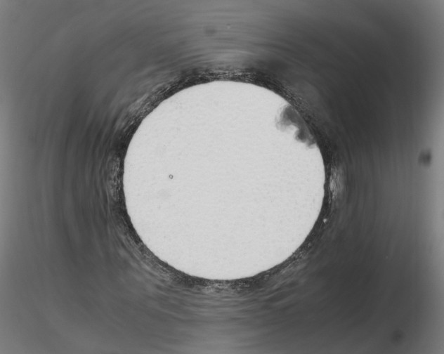 X0000115620867200912221226