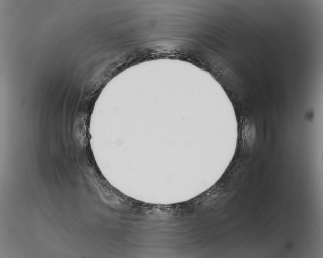 X0000115620868200912221226