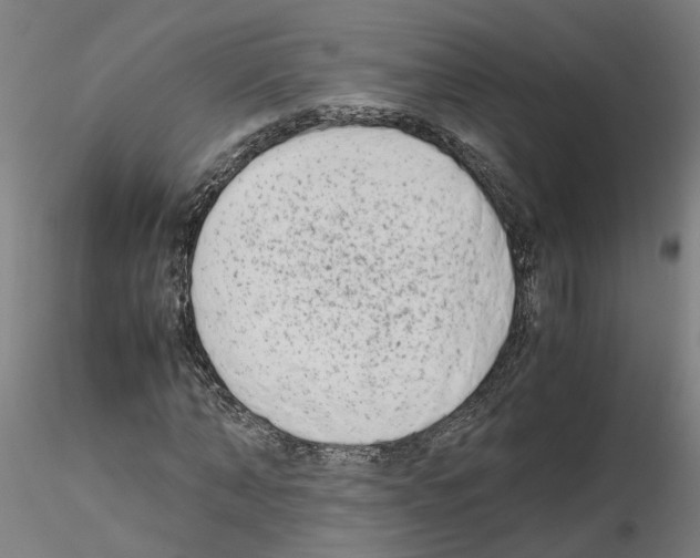 X0000115620870200912221226