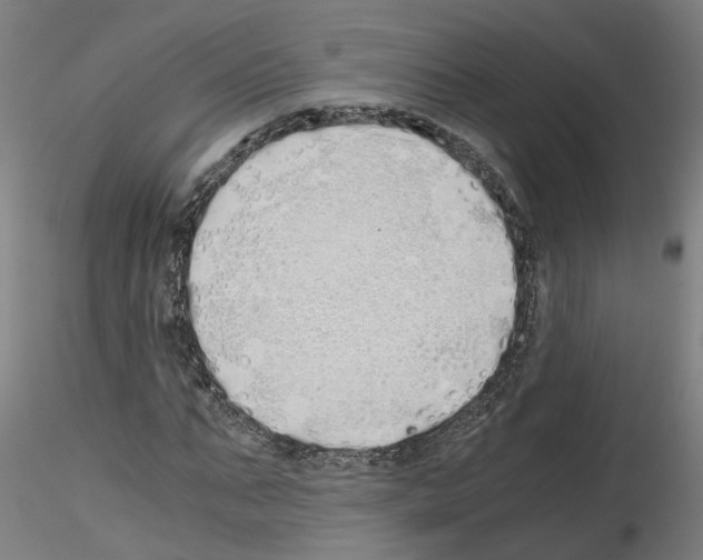 X0000115620871200912221226