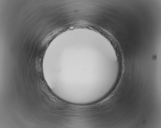 X0000115620873200912221226