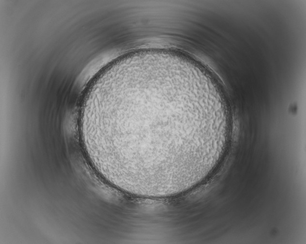 X0000115620874200912221226