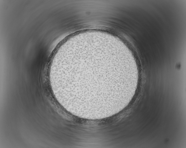 X0000115620875200912221226