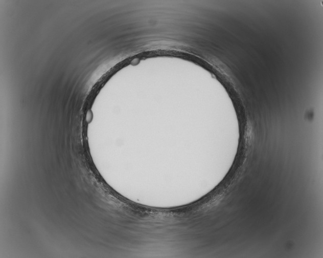X0000115620877200912221226
