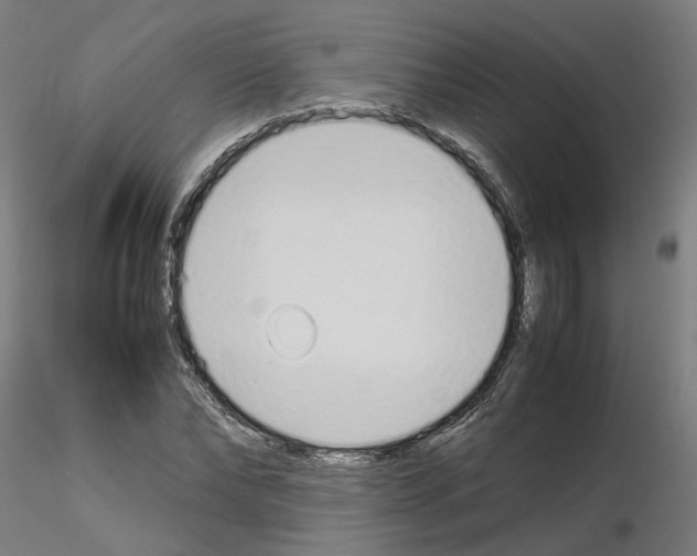 X0000115620878200912221226