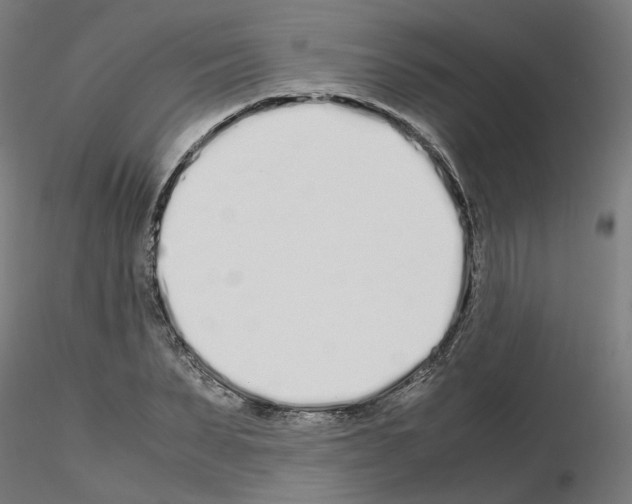 X0000115620879200912221226