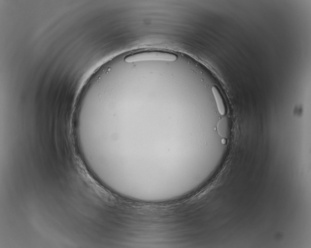 X0000115620880200912221226