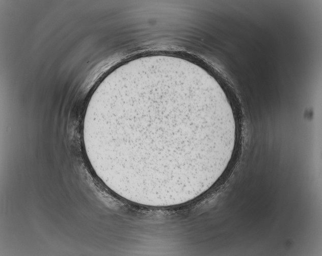 X0000115620881200912221226