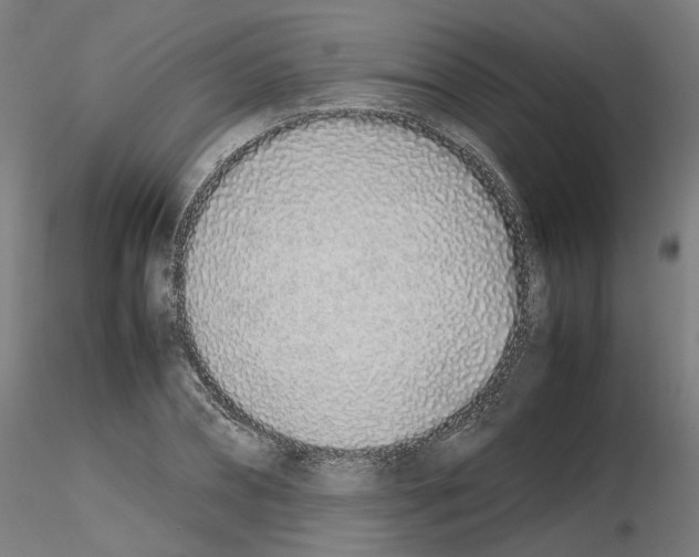 X0000115620882200912221226
