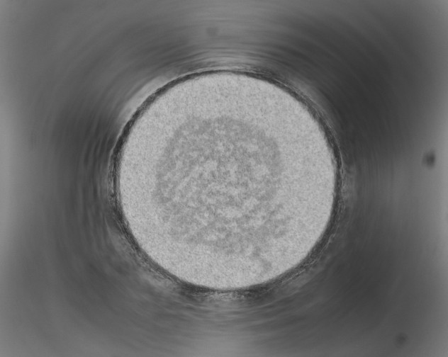 X0000115620883200912221226