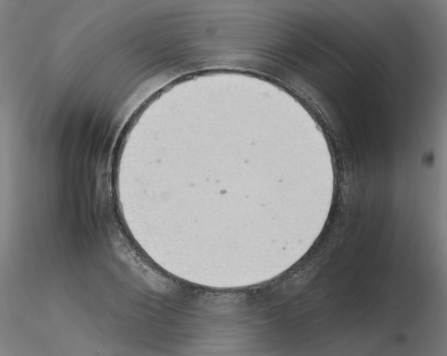 X0000115620884200912221226