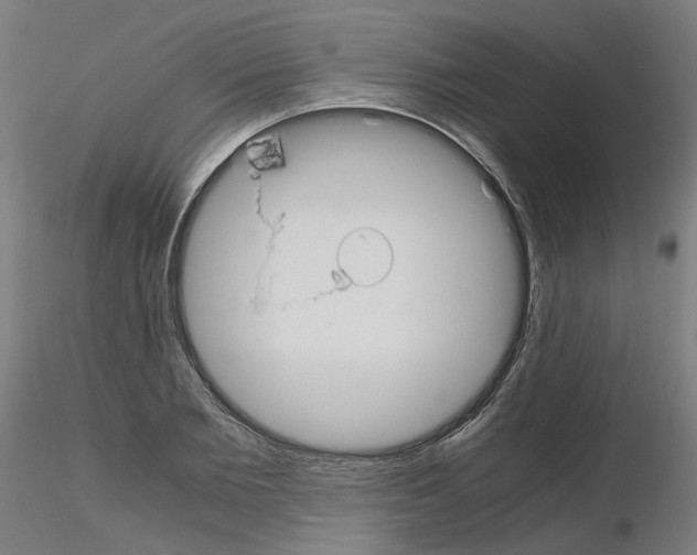 X0000115620885200912221226