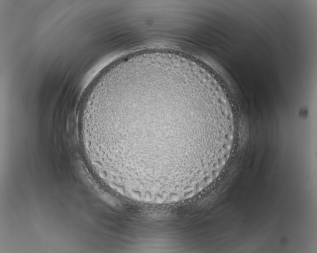 X0000115620886200912221226