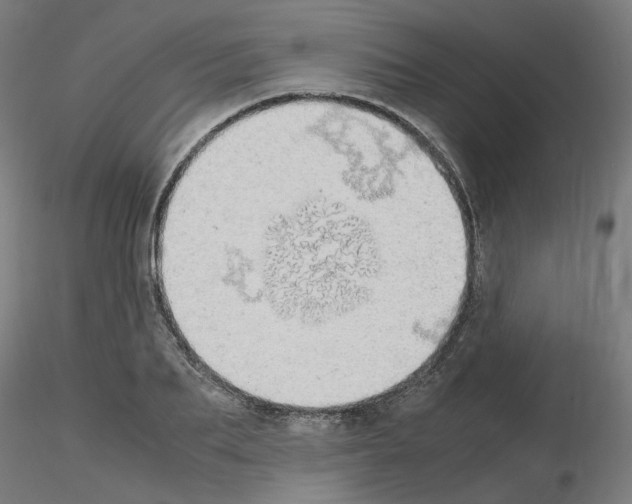 X0000115620887200912221226