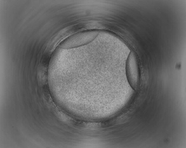 X0000115620889200912221226