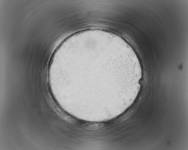 X0000115620891200912221226