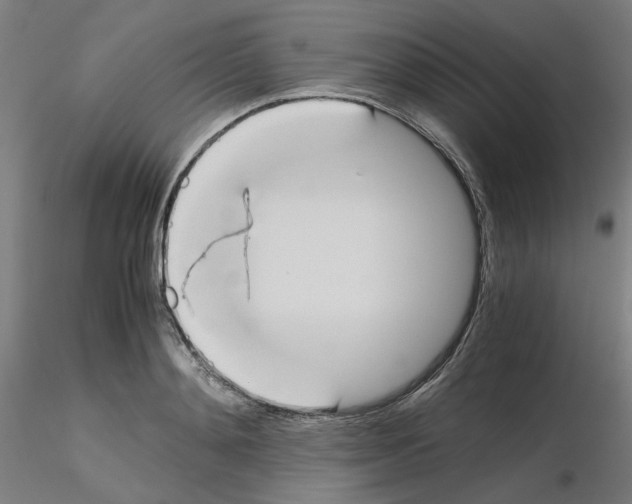 X0000115620892200912221226