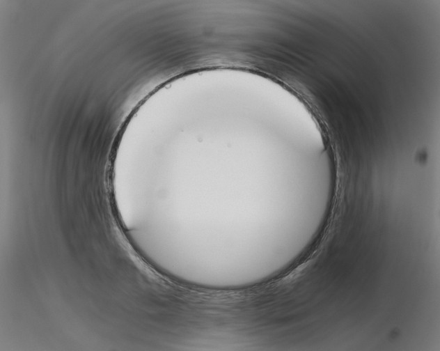 X0000115620893200912221226