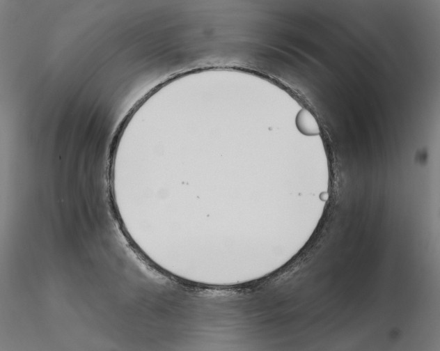 X0000115620894200912221226