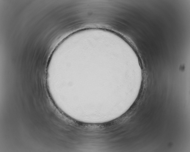 X0000115620895200912221226