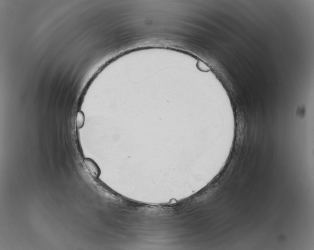 X0000115620896200912221226