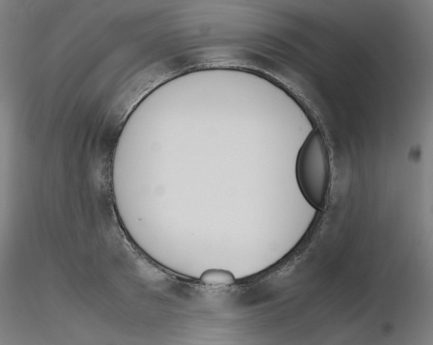 X0000115620897200912221226