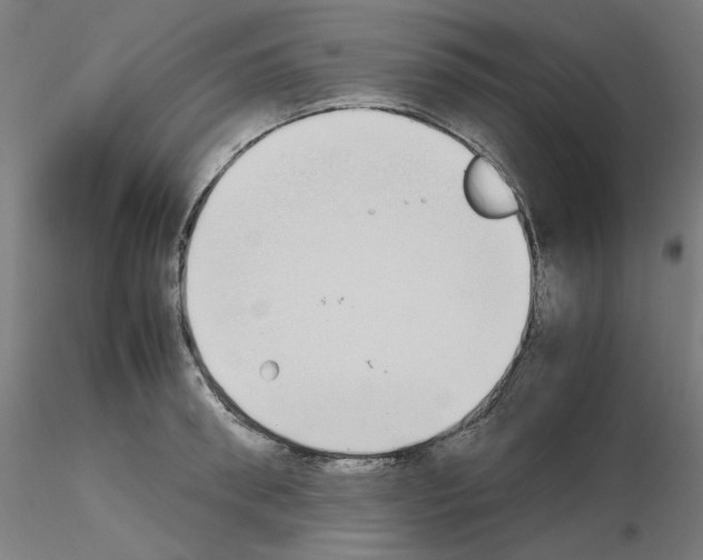 X0000115620898200912221226