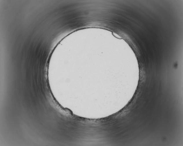 X0000115620900200912221225