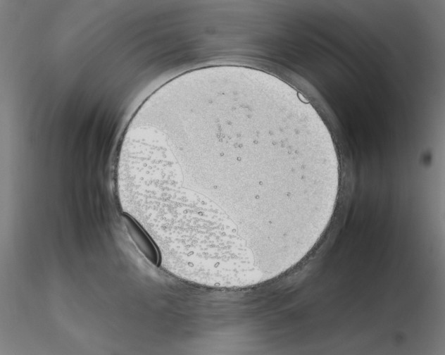X0000115620908200912221225