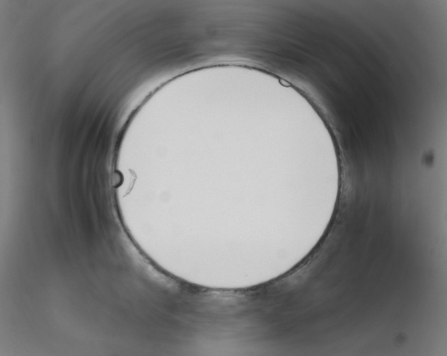X0000115620910200912221225