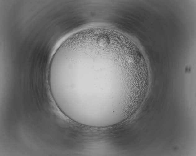 X0000115620912200912221225