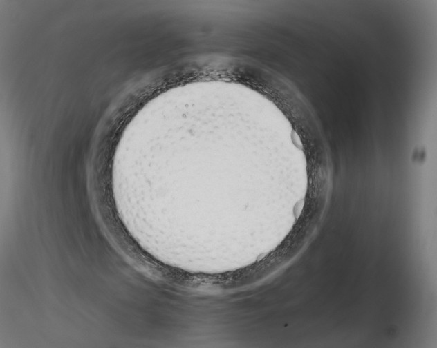 X0000115620913200912221225
