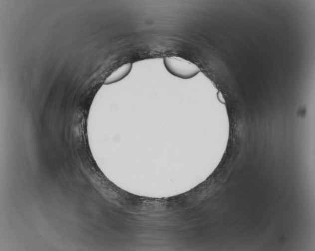 X0000115620914200912221225