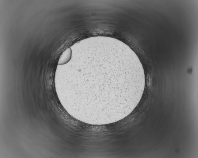 X0000115620915200912221225