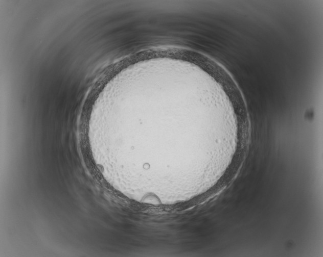 X0000115620917200912221225