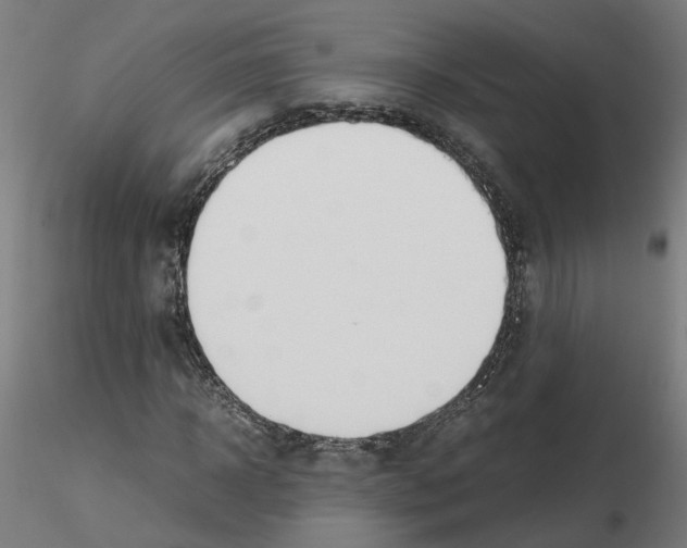 X0000115620918200912221225