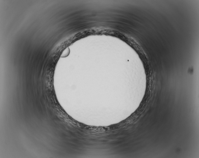 X0000115620919200912221225