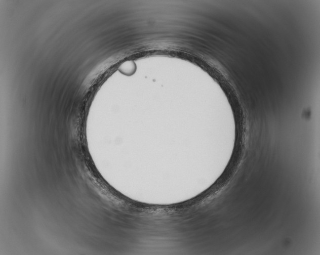 X0000115620922200912221225