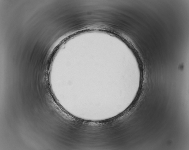 X0000115620923200912221225