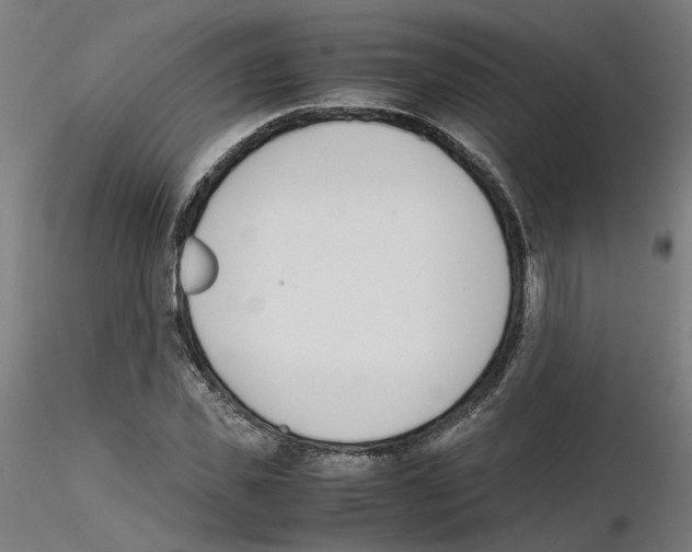 X0000115620925200912221225
