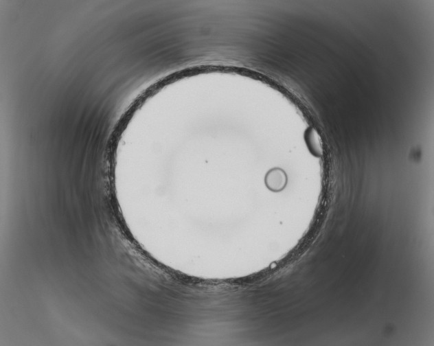 X0000115620926200912221225