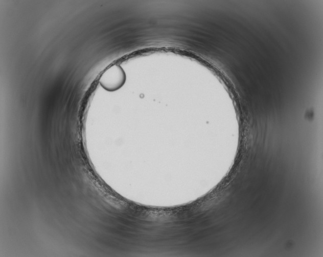 X0000115620927200912221225