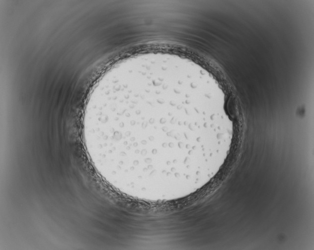 X0000115620930200912221225