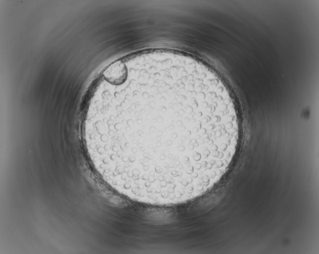 X0000115620931200912221225