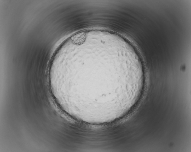 X0000115620933200912221225