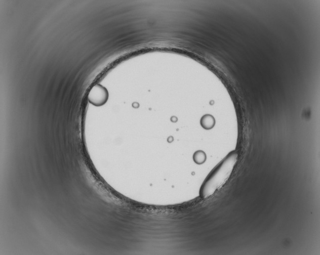 X0000115620934200912221225