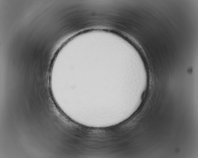 X0000115620935200912221225