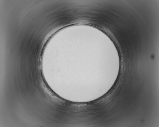 X0000115620939200912221225